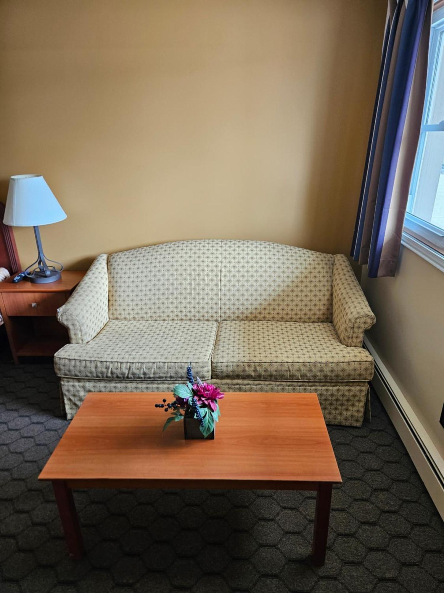 Forest Plaza Motel Mount Forest Εξωτερικό φωτογραφία